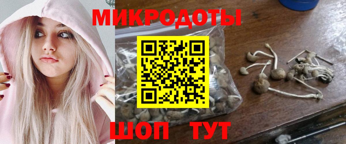 Псилоцибиновые грибы мицелий  Вход с VPN  Лениногорск  Псилоцибиновые грибы Psilocybe 