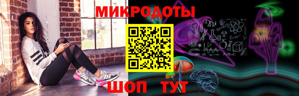 Псилоцибиновые грибы Psilocybe Лениногорск